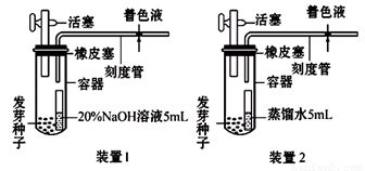 關于細胞X的免疫學特性解析