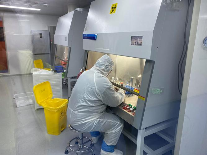 上海細胞總庫 以規模化技術優勢，把細胞存儲的價格“打下來”